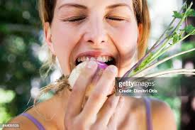 142 Otis Hale Stock Photos, High-Res Pictures, and Images