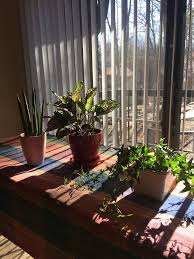 Margaret Testa Service Details