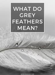 What Do Grey Feathers Mean Wishing Moon