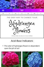 Pin On Ideas 4 Gardens