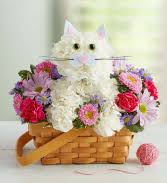 Something very handy during this time with the virus. Peoria Il Flower Shops Local Peoria Florists Flower Shop Network
