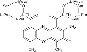 Image result for Dactinomycin