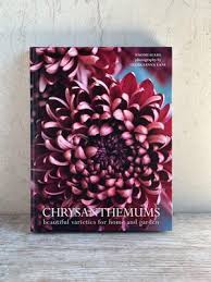 Image result for Sladeniaceae