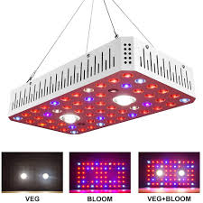 We did not find results for: Upgraded Led Grow Light 1000w Full Spectrum Cree Cob Led Grow Lamp Double Switches Plant Light For Indoor Plants Greenhouse Shopee Malaysia