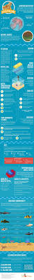 Betta Fish Care Guide A One Page Care Sheet All You Need To Know Betta Fish Care Fish Care Betta Fish