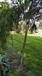 Reinsert the chain link you removed earlier to tie the existing fence fabric to the new section of fabric. Gear Acres At Top Of The Hill Fixing A Broken Top Rail On A Chain Link Fence