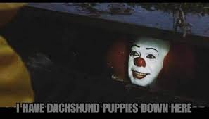 3 days in with our Halloween baby 🎃 #BabyAaliyah