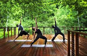 Yoga and meditation camps in india. Top 5 Yoga And Meditation Places In India Hello Travel Buzz