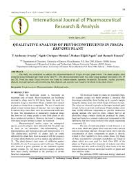 Image result for Tragia brevipes