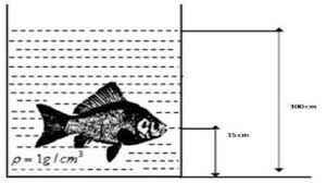 10 Contoh Soal Tekanan Zat Cair Kelas 8 Dan Pembahasannya Materi Kimia