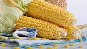 Check spelling or type a new query. Sedang Diet Coba Konsumsi Jagung Manis Moms