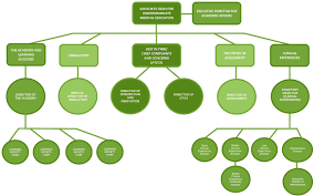 Sdc Leadership And Organizational Chart