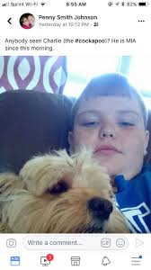 Missing person in Millwoods area, Edmonton