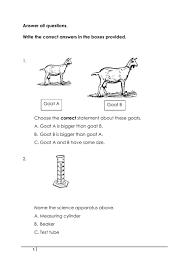 It was originally developed in 1987 by larry hornbeck of texas instruments. Quiz Science Dlp Year 2 Worksheet