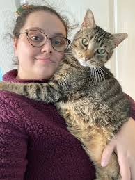 Lost cat in Bridgewater area near Home Hardware and Tim Hortons