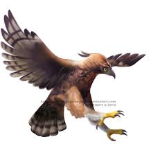 We did not find results for: 12 Koleksi Terpopuler Gambar Burung Elang Jawa