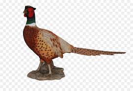 Vögel sind gern gesehene gäste im garten. Fasan Kunst Garten Ornament Garten Ornament Andere Png Herunterladen 2000 1339 Kostenlos Transparent Fasan Png Herunterladen