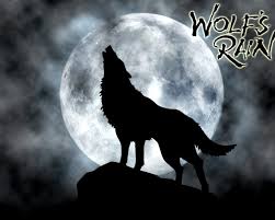 Check spelling or type a new query. Bilder Wolf S Rain Wolf Silhouette Anime Mond