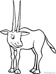 Please wait, the page is loading. Oryx Coloring Pages Coloringall