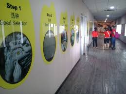 The country maintains a constant economical scale due to the. Paddy Gallery Rice Mill Factory Paddy Processing Factory In Sekinchan Pls Marketing M Sdn Bhd
