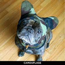 Snorf Industries Adjustable Bathat Sport The Plush Fleece Hat That Keeps Ears Warm Great For Frenchies Boston Terriers Pugs Bulldog French Bulldog Puppies Cute French Bulldog