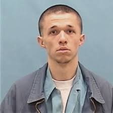 ᐅ Illinois Criminal Records 2009-2025