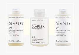 The clients come to the salon holding pictures of blond celebs and. The Truth About Olaplex Colorists Get Real About The Industry S Top Treatment