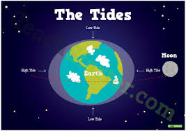 Resultado de imagen de TIDES
