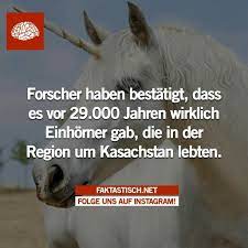 Ist Das Wirklich Wahr Unnutzes Wissen Faszinierende Fakten Unnutze Fakten
