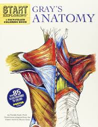 Anatomy coloring book pdf download the pages free sites answers adcosheriffsfoundation dental saunders veterinary. Start Exploring Gray S Anatomy A Fact Filled Coloring Book Stark Phd Fred 9780762440733 Books Amazon Ca