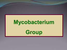 Acid-Fast Stain | Differential Stains | Basic Techniques Of Biotechnologies  | Microbiology Methods | Botany | Biocyclopedia.Com