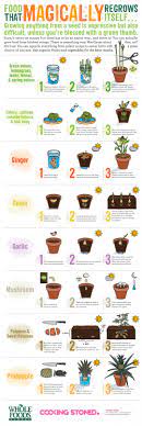 Most people find it easier to grow asparagus from crowns, which are widely available in the spring. 25 Plants That You Can Regrow From Your Kitchen Scraps