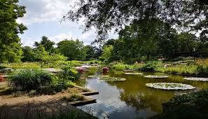 Sie wurden in den jahren 1962/63 errichtet und zur internationalen gartenbauausstellung 1963 eröffnet. 3 Parks In Hamburg Naherholungsgebiete Fur Zwischendurch