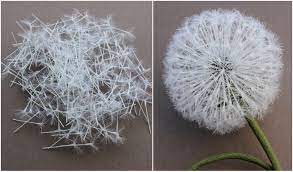 Diy Material Kit For Making A Silk Dandelion Brooch Presentperfect Creations Original Hand Crafted Flower Accessories In Fine Fabrics And Genuine Leather
