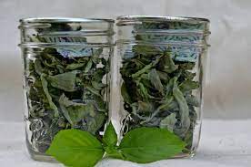 Here are some things to keep in mind when preparing your basil leaves for oven drying: 5 Simple Methods Of Drying Basil At Home Dryingallfoods