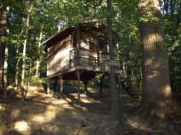 Treehouse camp at maple tree photos. A Typical Tree House Picture Of Maple Tree Campground Gapland Tripadvisor