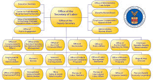 Systematic United States Government Structure Diagram United