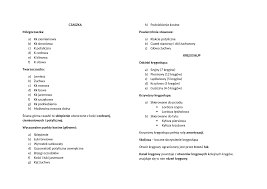 Anatomia Czlowieka Zestaw Pytan Docsity