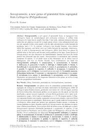 Image result for Lellingeria oosora