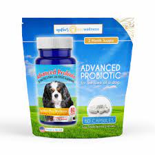 Helping The Dog With Skin Problems Agatha S Pet Wellness Pet Wellness Probiotics For Dogs Pet Probiotics