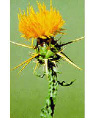 The pmd does not regulate agricultural pest control which is under the authority of the arizona department of agriculture. Cdfa Plant Health Integrated Pest Control