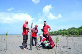 Check spelling or type a new query. Pulau Che Mat Zain Himsak Uitm Juan Khatib Flickr