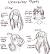 Male Long Hair Reference