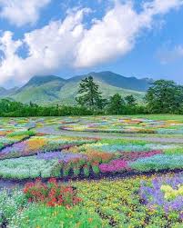 Reddit The Front Page Of The Internet In 2020 Nature Nature Aesthetic Beautiful Nature