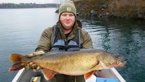 Where to buy walleye near me. These 5 Wisconsin Waters Have Best Chance To Produce A State Record Walleye