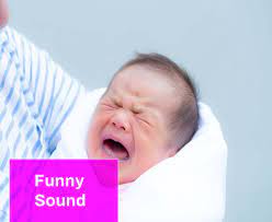 Funny Sound Effect Free Mp3 Download Mingo Sounds