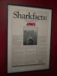 Image result for Oedina