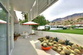 My barrel cactus in sunnyvale is 14 inches wide by 11 inches tall and is 30 years old. Winning Garden Combo Golden Barrel Cactus And Other Succulents