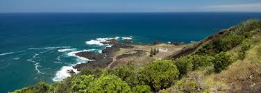 Image result for Ferraria