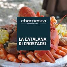 Cerchi crostacei nelle attività operanti nel settore ristoranti a castelnuovo rangone? Cherpesca Sapete Cos E La Catalana Di Crostacei E Un Facebook